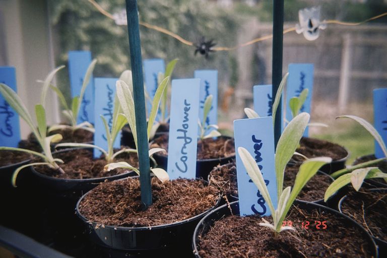 Artwork from project Studio and Life